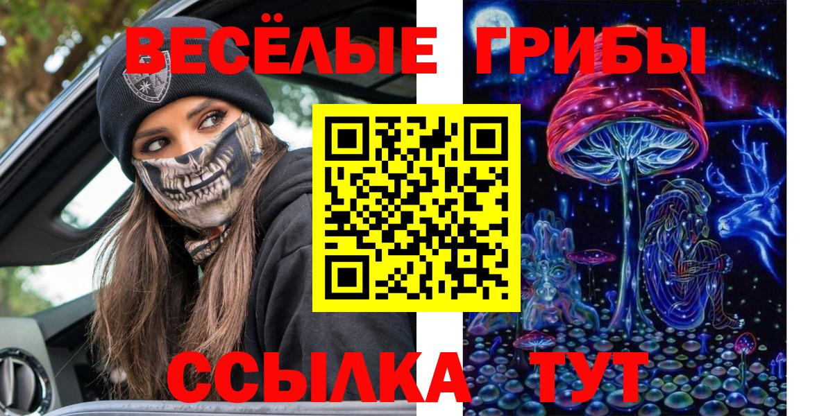 Галлюциногенные грибы прущие грибы Губкинский