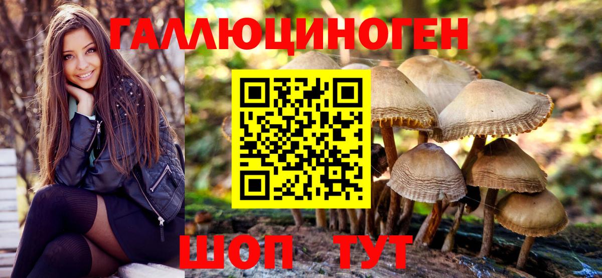Галлюциногенные грибы Psilocybe  Галлюциногенные грибы MAGIC MUSHROOMS  Вход с VPN  Губкинский 